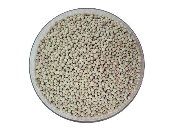 臭氧催化氧化催化劑